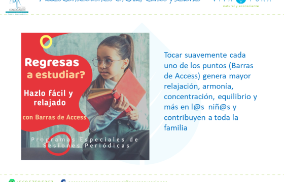 Programa Para Escolares