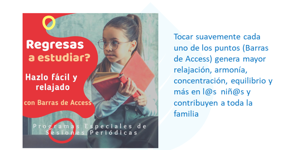 Programa Para Escolares