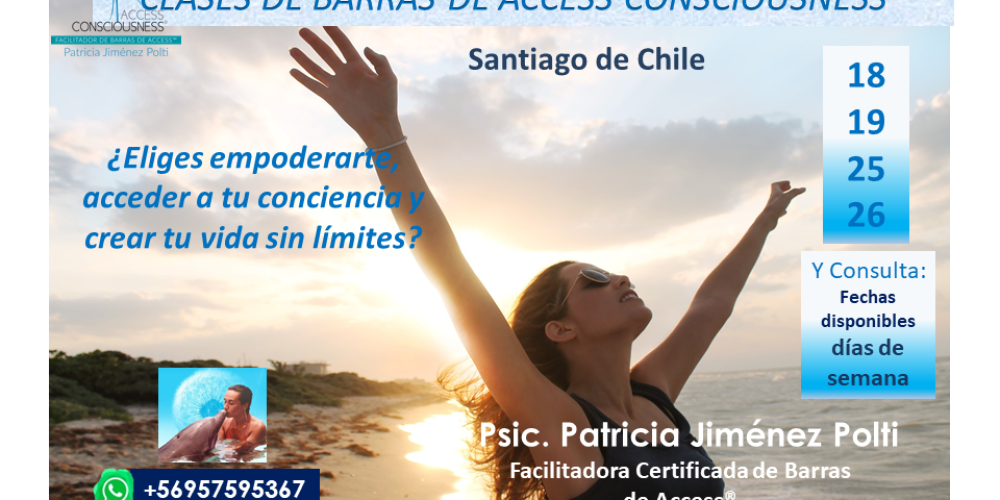 ESTÁS INVITAD@ A ELEGIR MÁS:                                        Clases de Barras en Santiago,