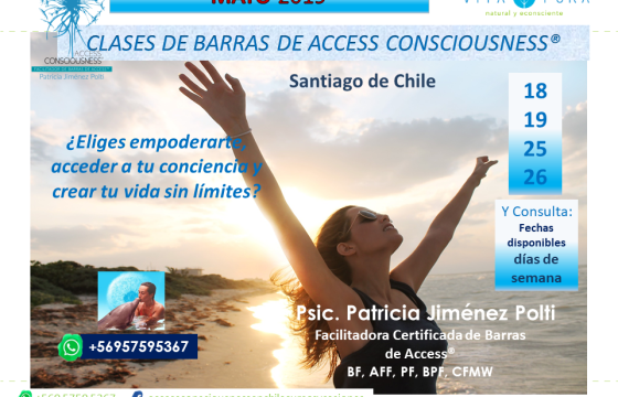 ESTÁS INVITAD@ A ELEGIR MÁS:                                        Clases de Barras en Santiago,