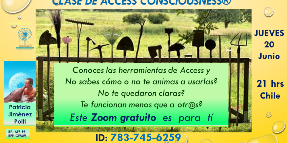 Invitación a 1° Reunión Online Gratuita: Todo Sobre la Práctica de las Herramientas de Access Consciousness