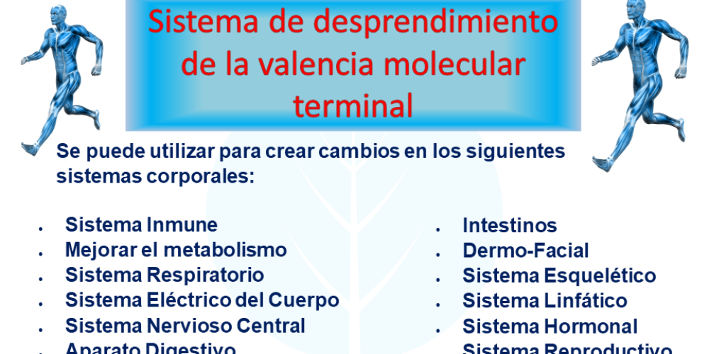 MTVSS: Proceso Corporal de Access Consciousness