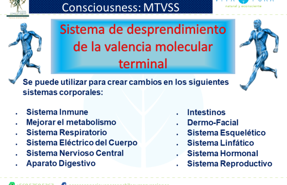 MTVSS: Proceso Corporal de Access Consciousness