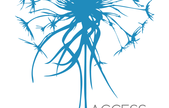 ¿Qué es Access Consciousness?