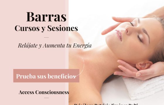 Clases de Barras Access 2020