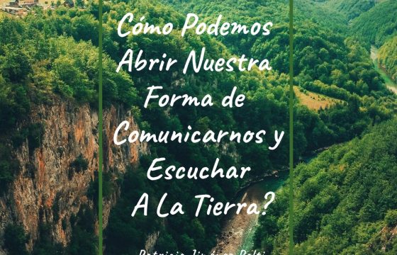 ¿Cómo Podemos Comunicarnos Con el Planeta hoy?