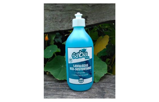Lavalozas Eco-Sustentable